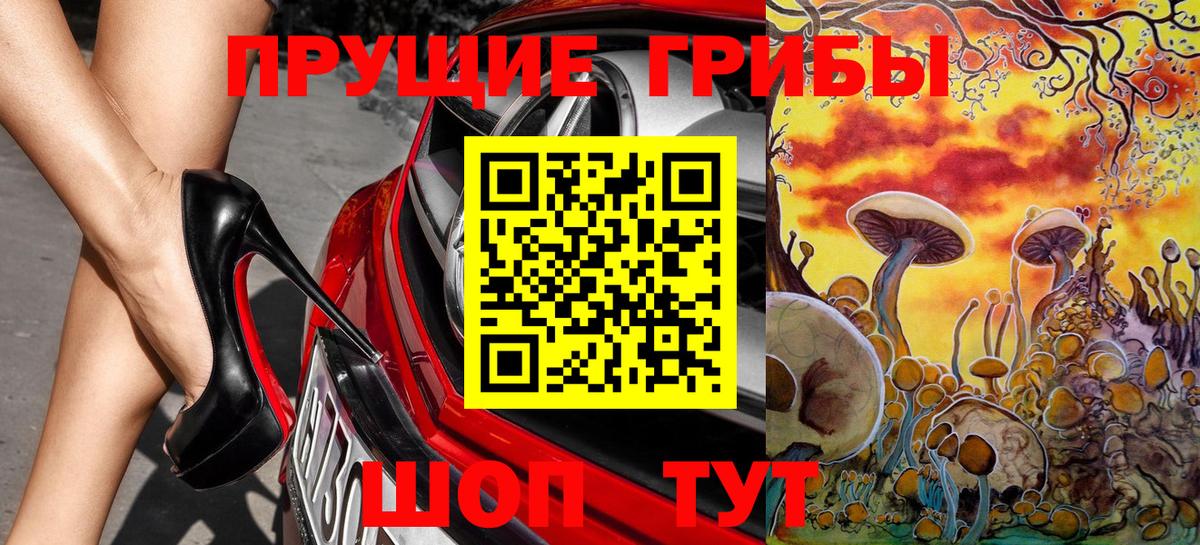 Галлюциногенные грибы Cubensis Лобня