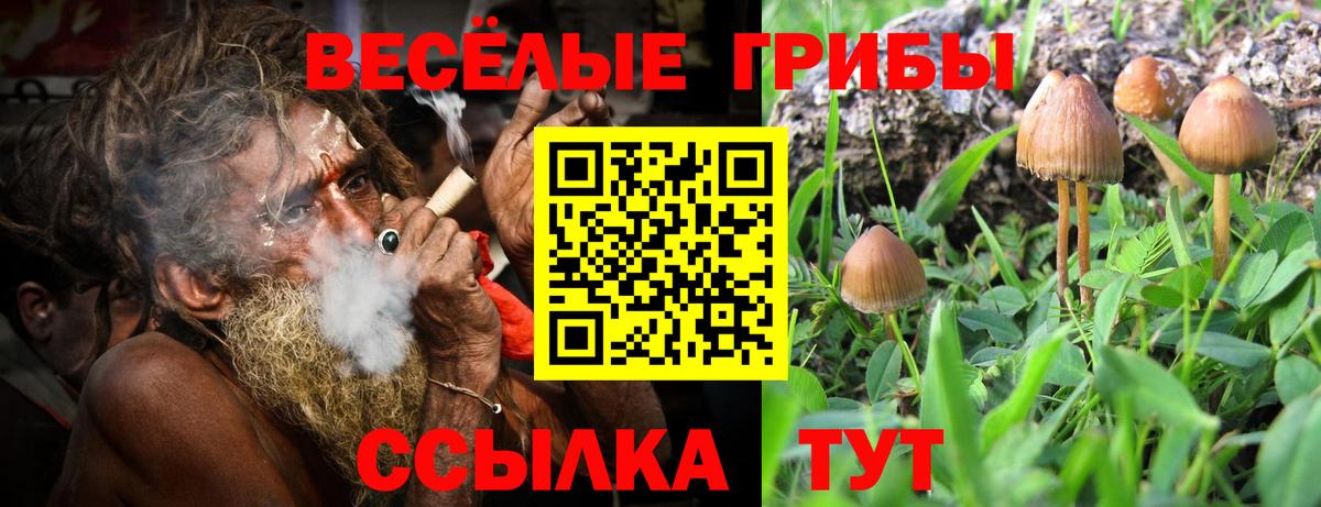 Псилоцибиновые грибы Magic Shrooms  Галлюциногенные грибы прущие грибы  Вход с VPN  Лобня 